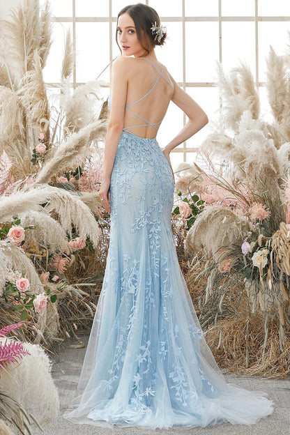 Backless Long Prom Dress with Appliques