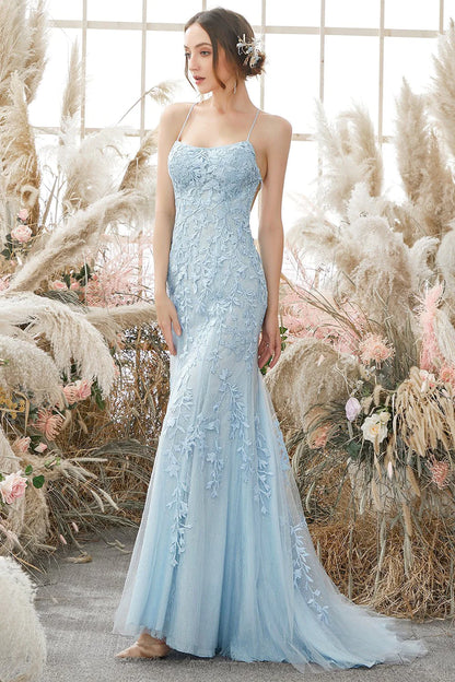 Backless Long Prom Dress with Appliques