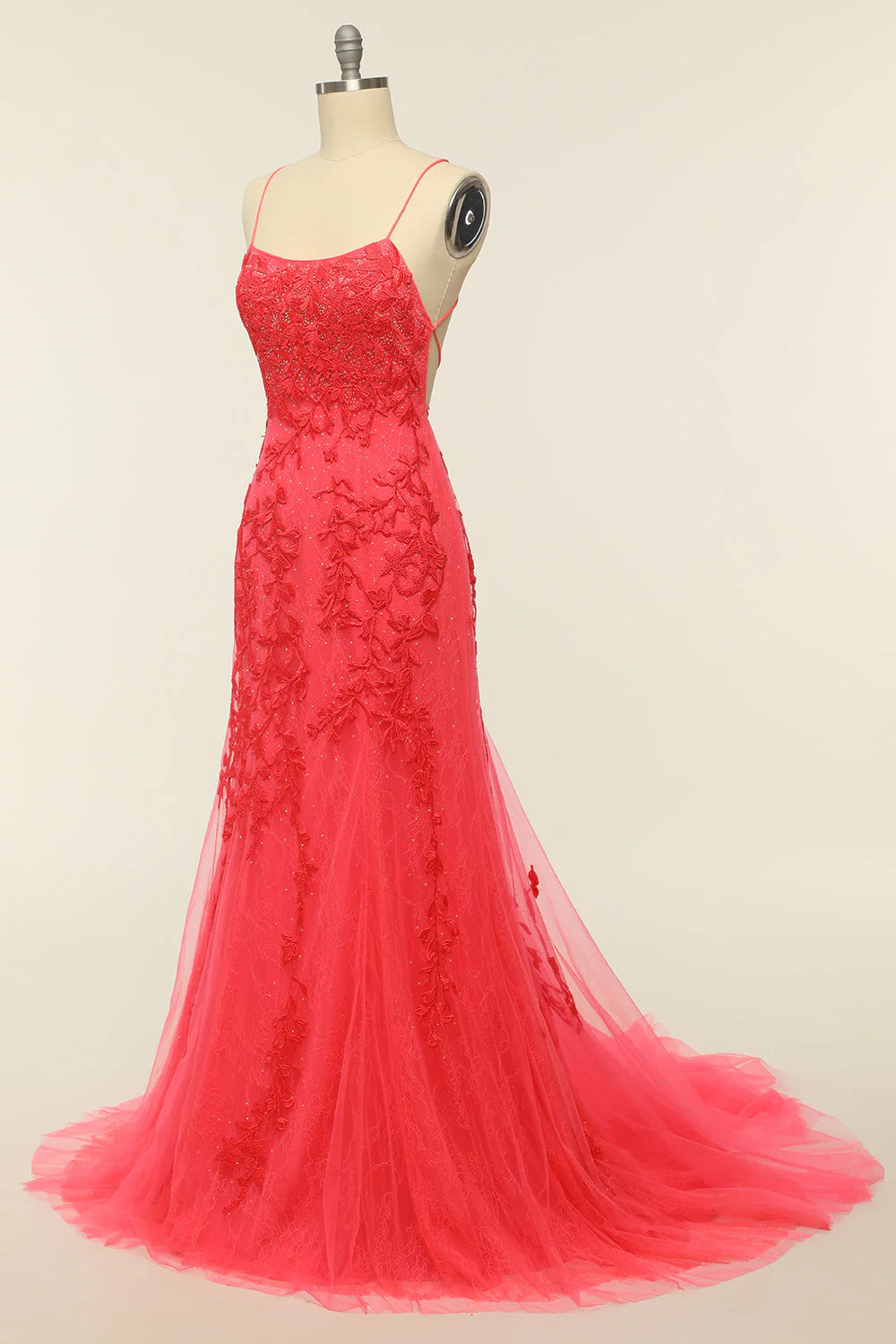 Backless Long Prom Dress with Appliques